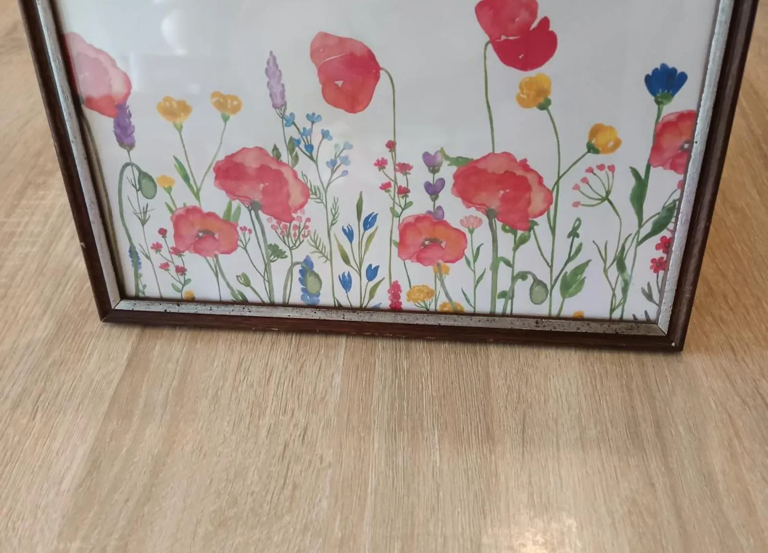 Le Clos Des Romarins Gite Le Coquelicot Belmontet